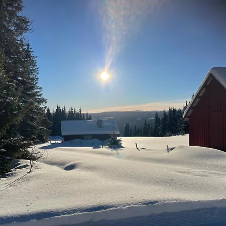 Nyaraló Kvien Alpakka Gjestegard