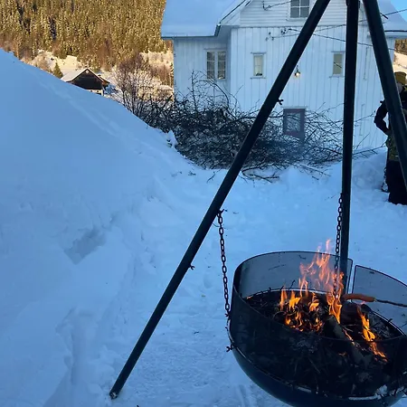 Kvien Alpakka Gjestegard