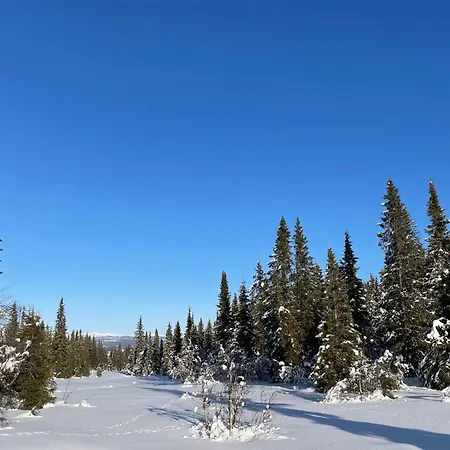 Nyaraló Kvien Alpakka Gjestegard